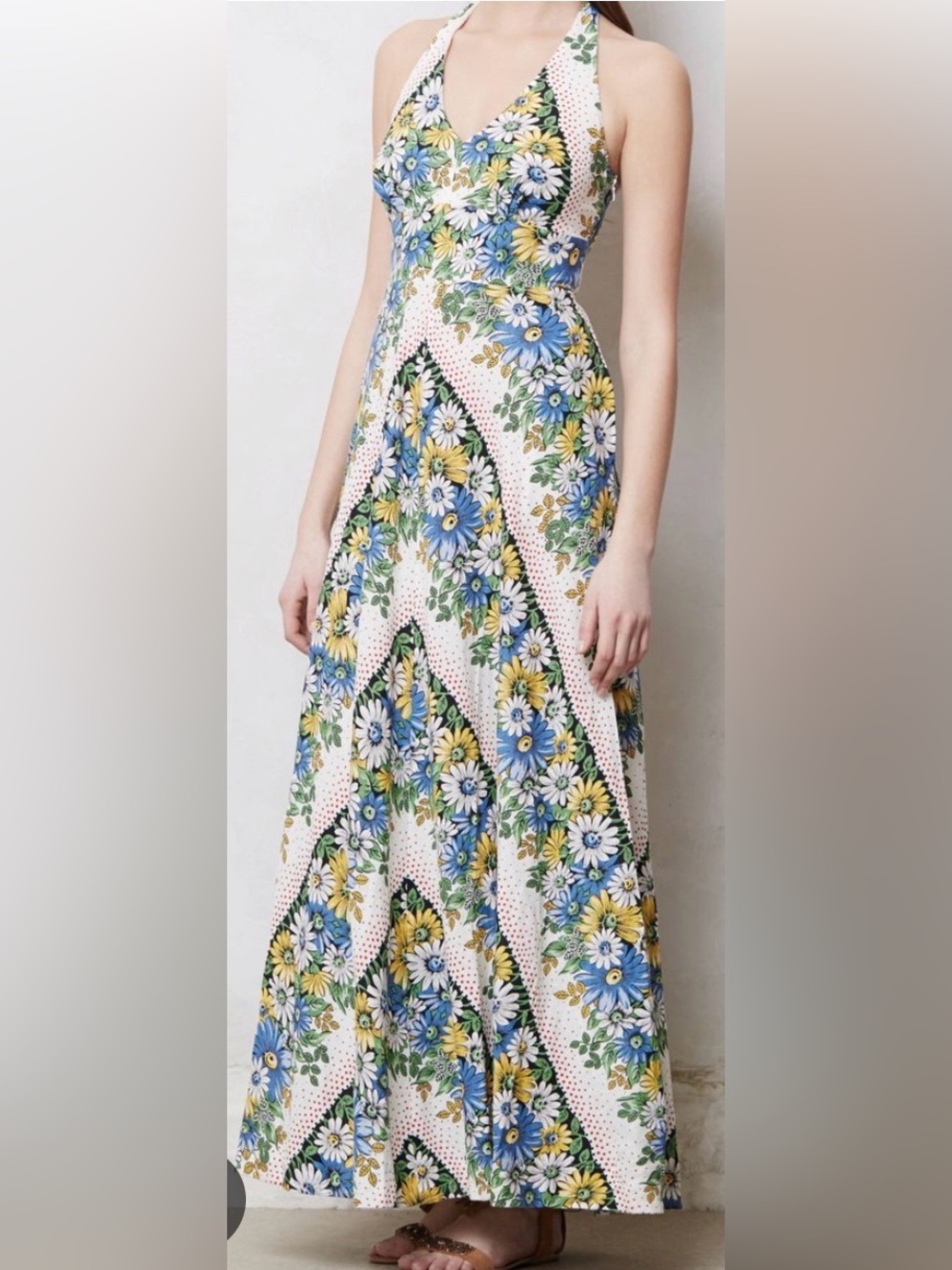 Anthropologie Floral Halter Maxi Dress — Blue, Yellow & Cream